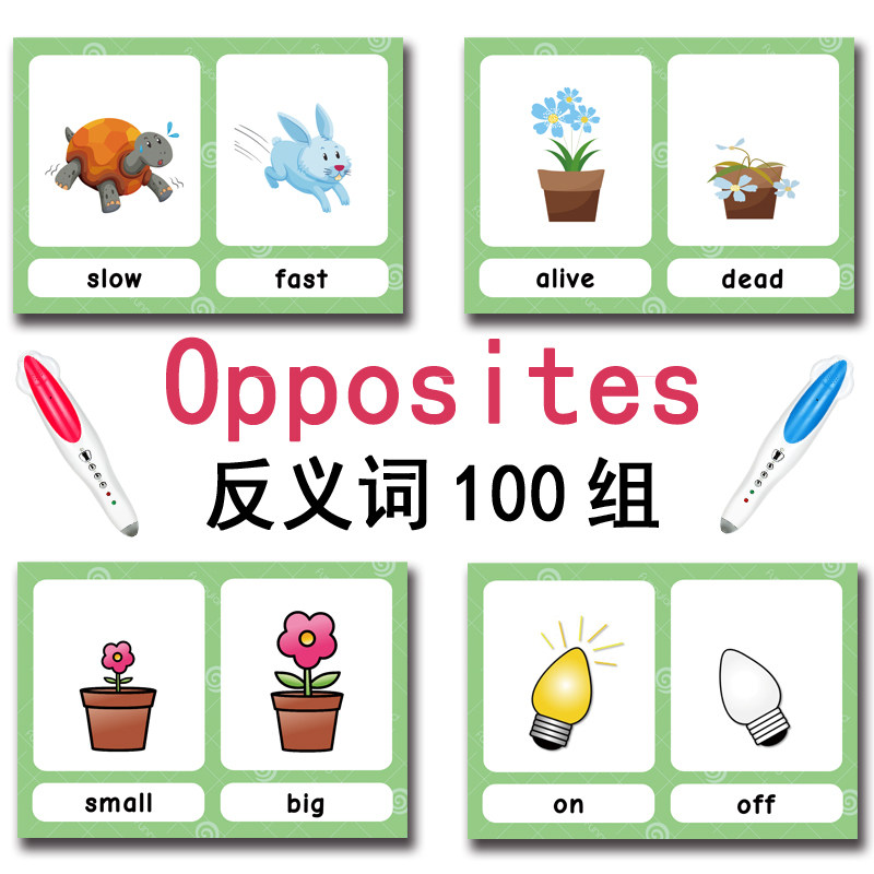 The 100 Groups Opposites Flash - Kids Education In Us ulasan dan harga
