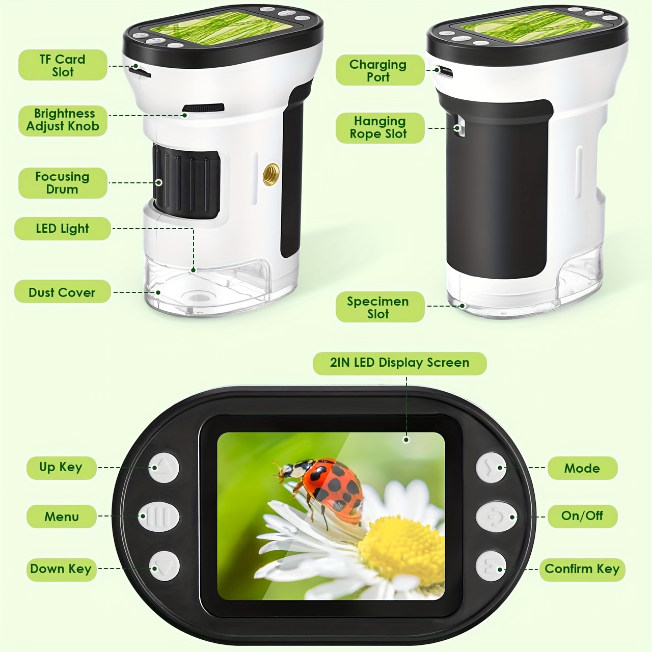 Kids Microscope Biological Kit - Kids Education Video ulasan dan harga
