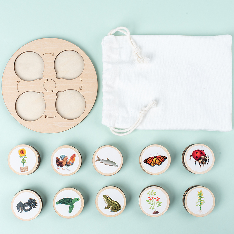 Life Cycle Board Montessori Ki - Montessori Shelf Toy ulasan dan harga