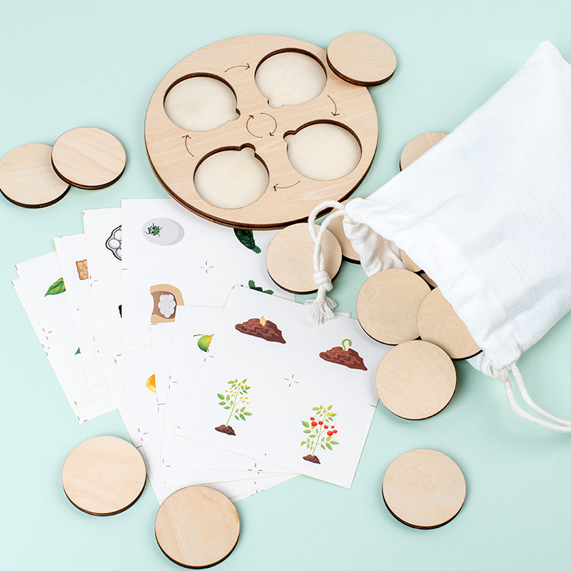 Life Cycle Board Montessori Ki - Montessori Shelf Toy ulasan dan harga